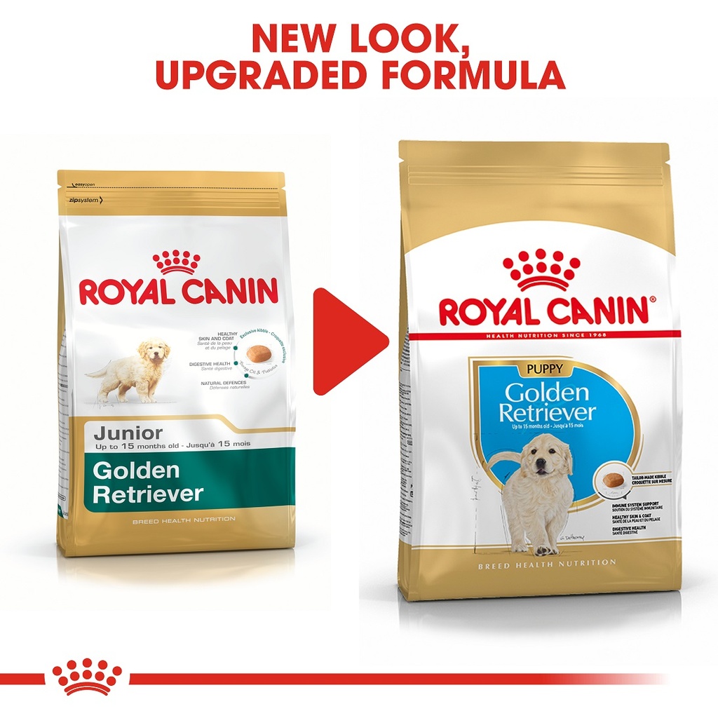 Golden retriever dry clearance food